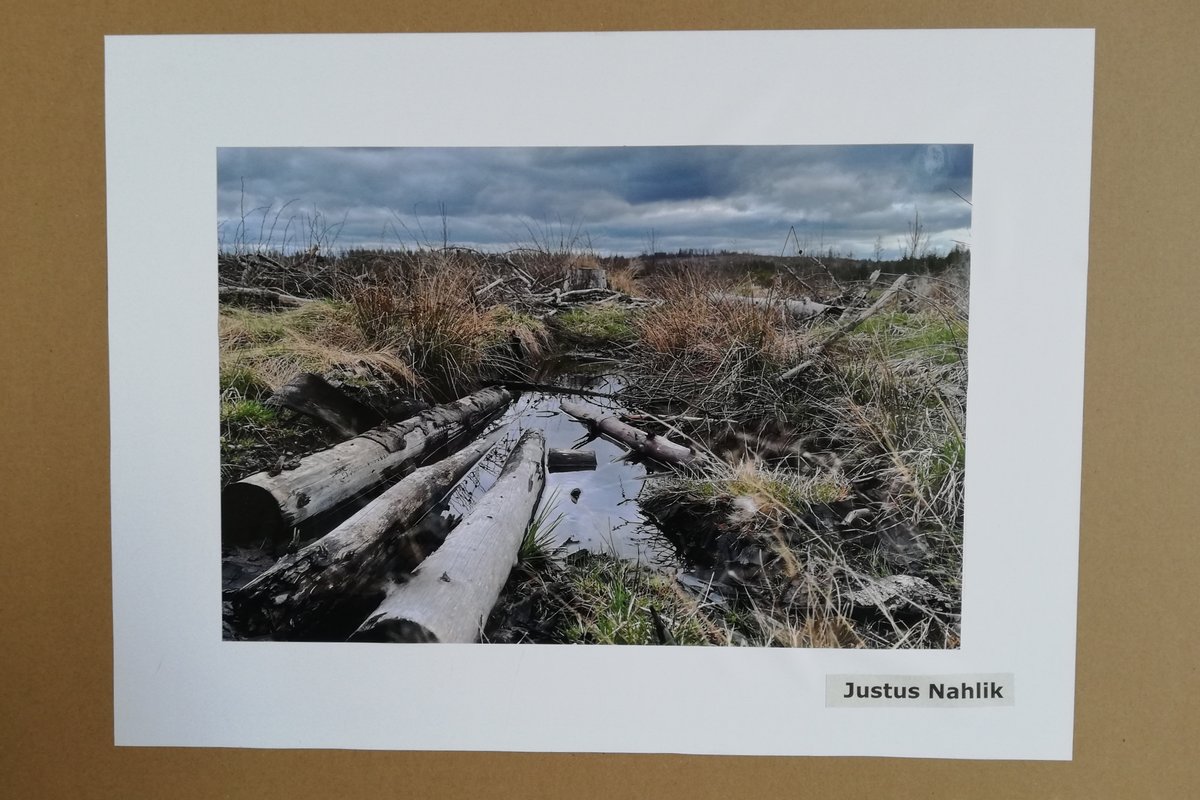 Titelbild für Beitrag: Fotowettbewerb: Natur, eine Ode an unsere Lebenswelt.