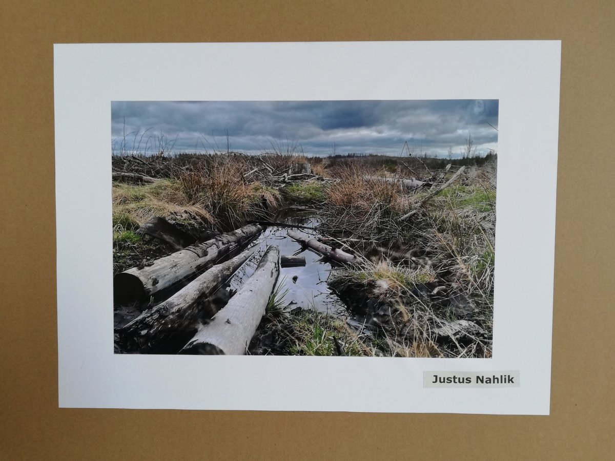 Titelbild für Beitrag: Fotowettbewerb: Natur, eine Ode an unsere Lebenswelt.